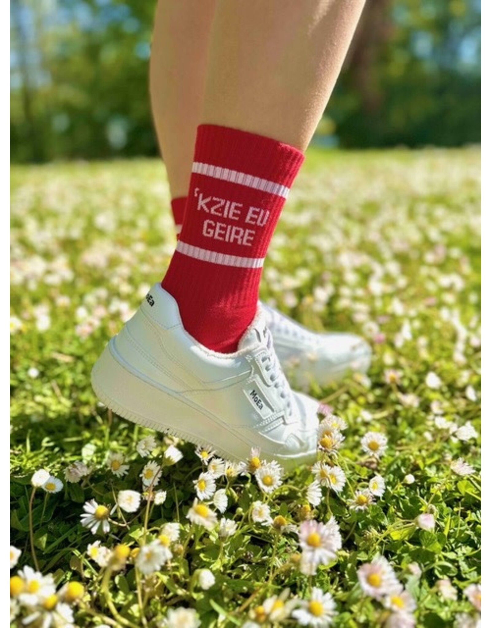 Sock The City Gentse sokken - 'kzie eu geire, Rood- Katoen - One size