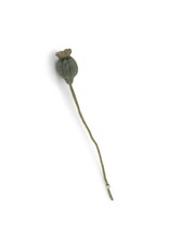 Gry & Sif Vilten Bloem - Poppy Deed Head - 46cm