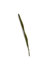 Gry & Sif Vilten Bloem - Grass Straw - 40 cm