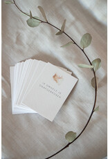 Roosmarijn Knijnenburg Doosje Gemis, Kaartjes