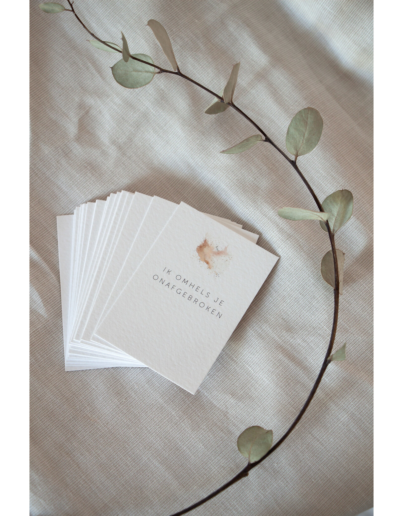 Roosmarijn Knijnenburg Doosje Gemis, Kaartjes