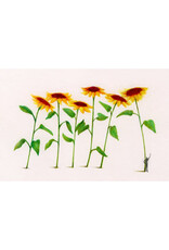 Lieve Claesen Wenskaart - Zonnebloemen - Dubbele kaart + Envelop