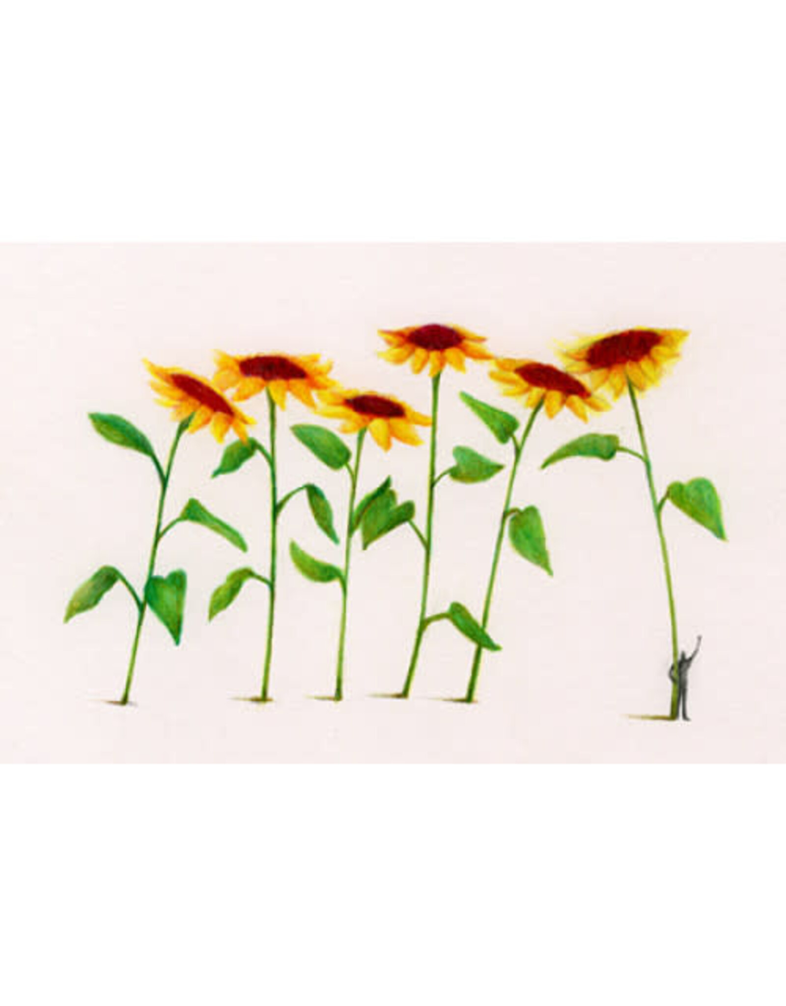 Lieve Claesen Wenskaart - Zonnebloemen - Dubbele kaart + Envelop