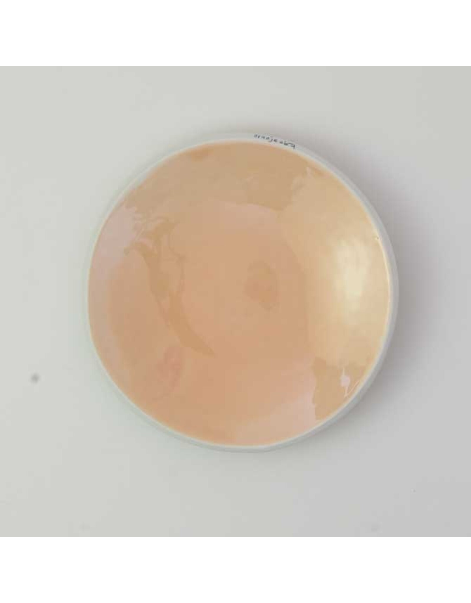 Studio Harm & Elke Color Dishes - Oranje 067