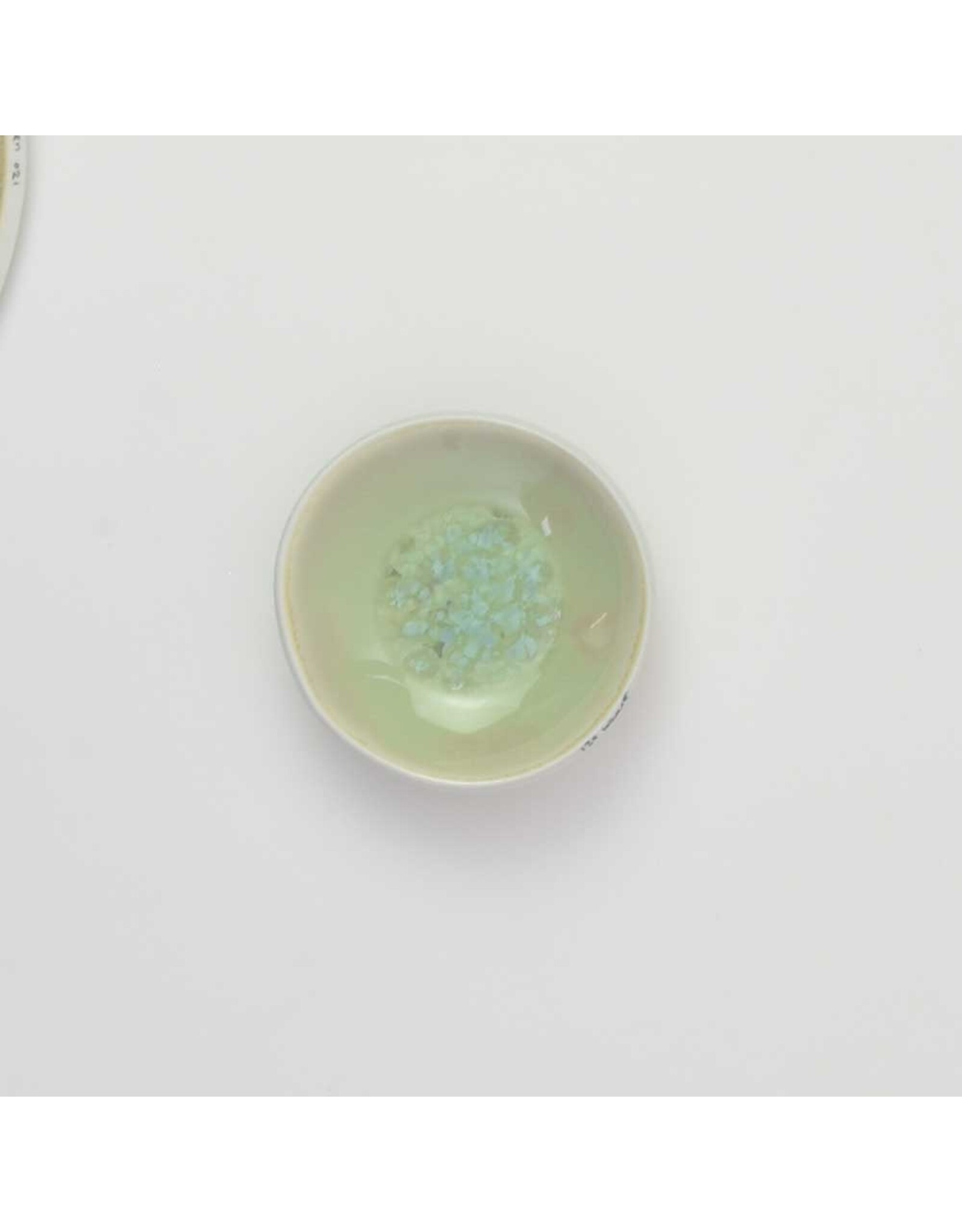 Studio Harm & Elke Color Dishes - Groen 021