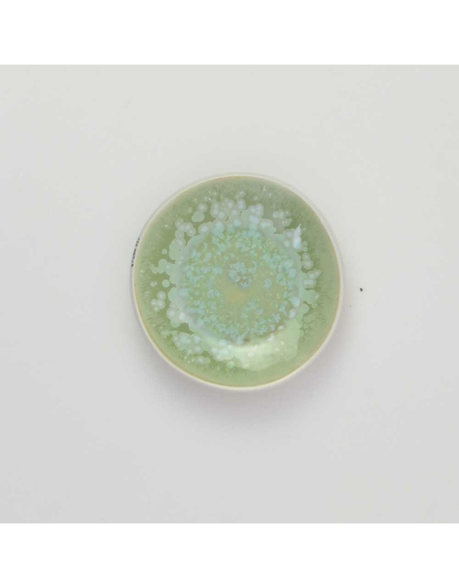Studio Harm & Elke Color Dishes - Groen 021