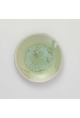 Studio Harm & Elke Color Dishes - Groen 021
