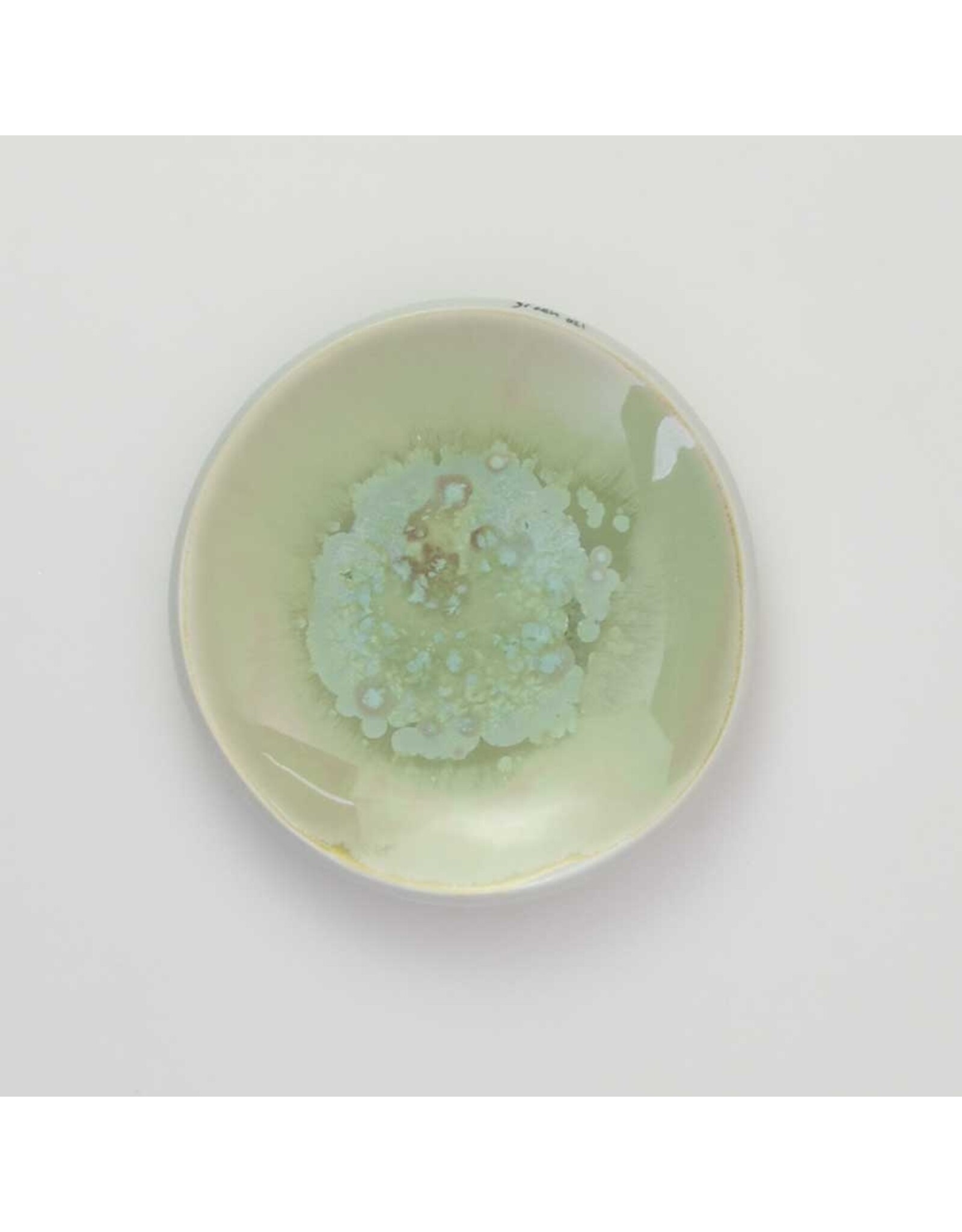 Studio Harm & Elke Color Dishes - Groen 021