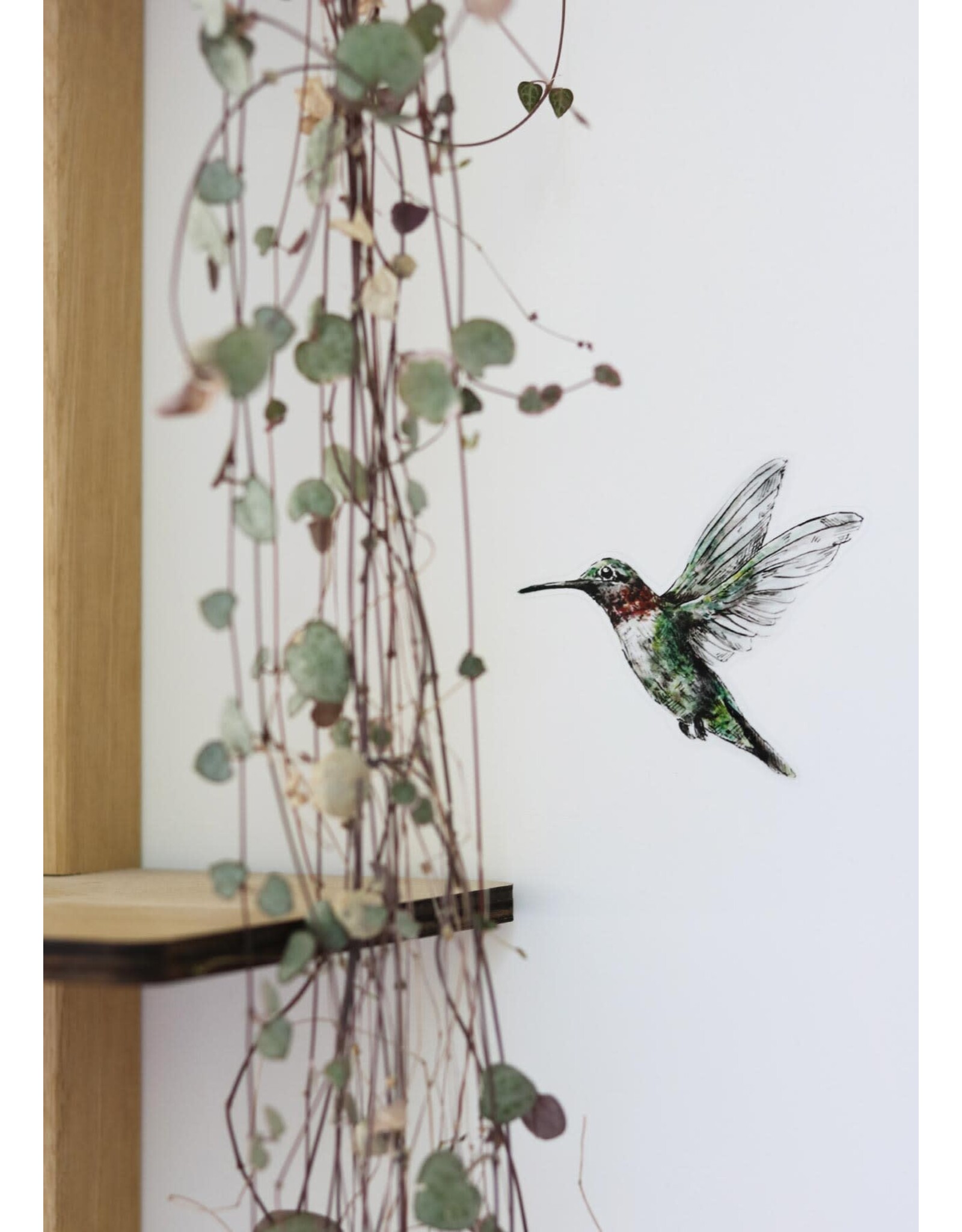 Inkylines Muursticker - Kolibrie