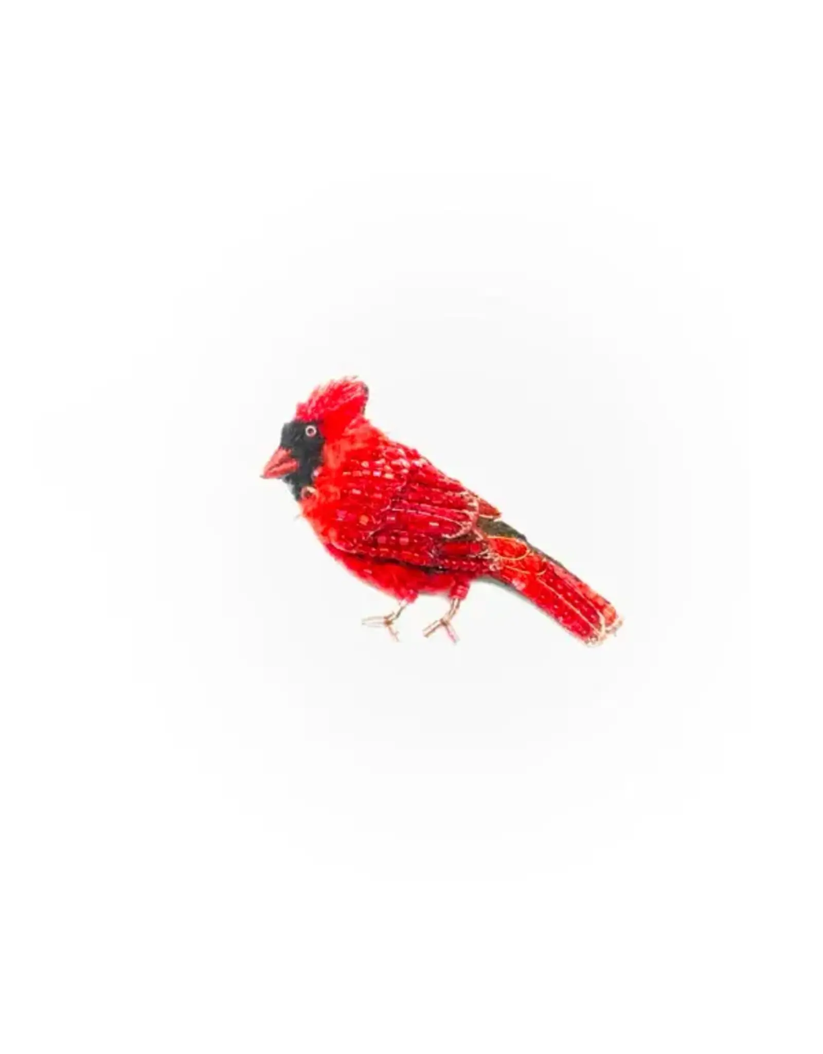 Trovelore Broche - Common Cardinal