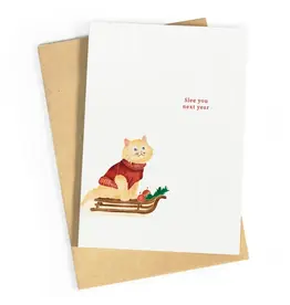 Studio Zwoane Wenskaart - Kerst - Slee you next year - Dubbele kaart + Envelop