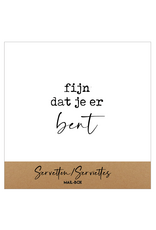 Mail-Box Servetten - Fijn dat je er bent - 12,5 x 12,5 cm - 15st
