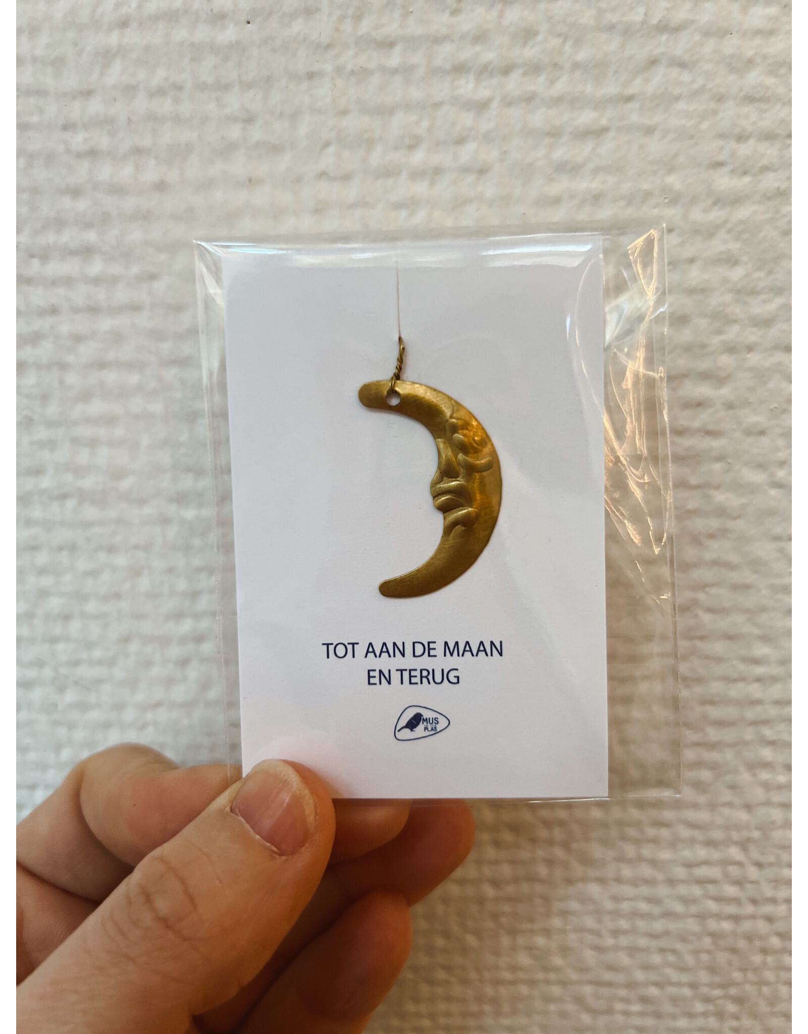 Mus in een Plas Klein gelukje - Maan, Tot aan de maan en terug