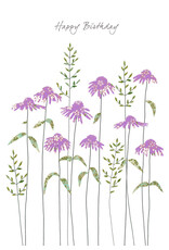 Eloise Hall Wenskaart - Echinacea, Happy Birthday - Dubbele Kaart + Envelop