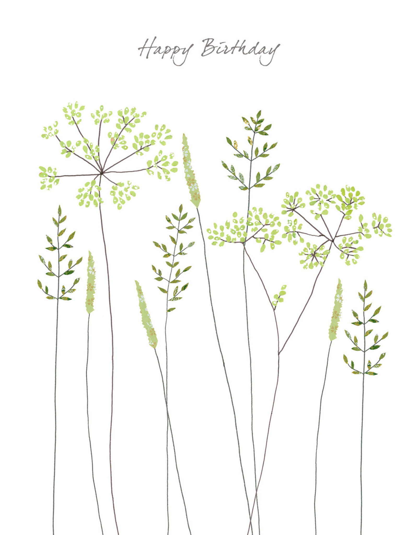 Eloise Hall Wenskaart - Fennel & Grass, Happy Birthday - Dubbele Kaart + Envelop
