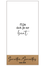 Mail-Box Servetten - Fijn dat je er bent - 20 x 10 cm - 15st