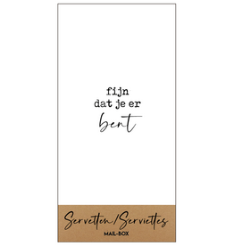 Mail-Box Servetten - Fijn dat je er bent - 20 x 10 cm - 15st