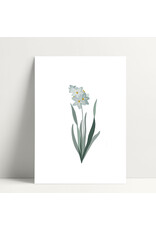 Poussière des rues Wenskaart - Jacinthe - Postkaart + Envelop