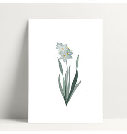 Poussière des rues Wenskaart - Jacinthe - Postkaart + Envelop