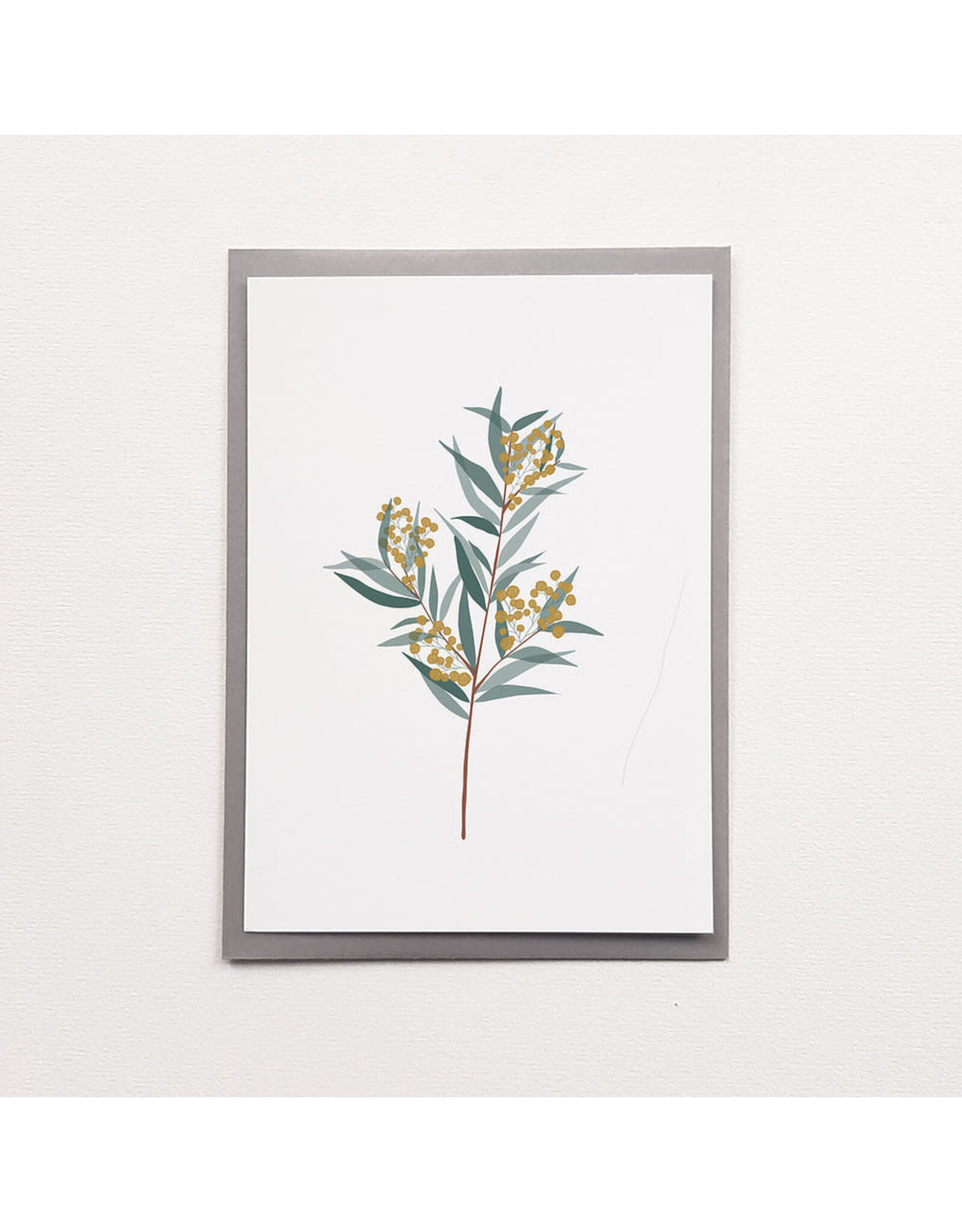 Poussière des rues Wenskaart - Mimosa - Postkaart + Enveloppe