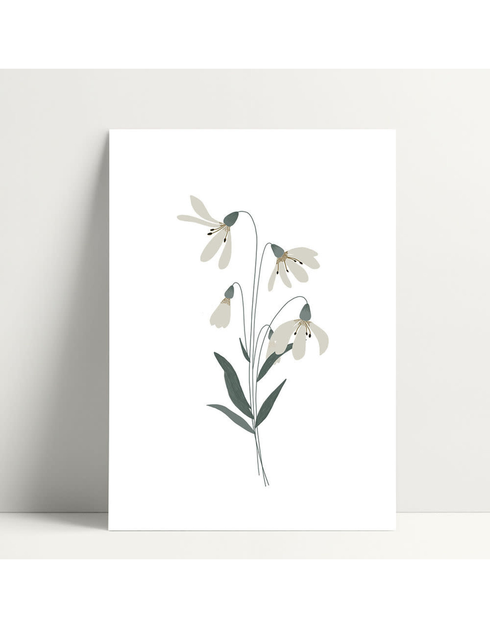 Poussière des rues Wenskaart - Perce-neige  - Postkaart + Envelop