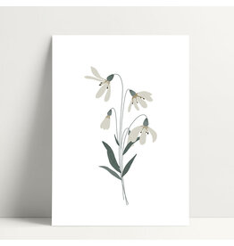 Poussière des rues Wenskaart - Perce-neige  - Postkaart + Envelop