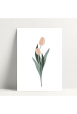 Poussière des rues Wenskaart - Peach Tulip - Postkaart + Envelop