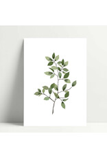 Poussière des rues Wenskaart - Noisette - Postkaart + Envelop