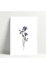 Poussière des rues Wenskaart - Blue Carnation - Postkaart + Envelop