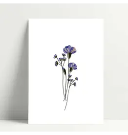 Poussière des rues Wenskaart - Blue Carnation - Postkaart + Envelop