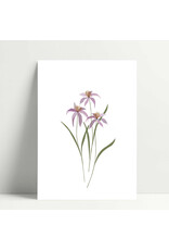 Poussière des rues Wenskaart - Swan - Postkaart + Envelop