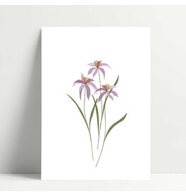 Poussière des rues Wenskaart - Swan - Postkaart + Envelop