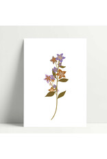 Poussière des rues Wenskaart - Melti - Postkaart + Envelop