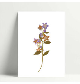 Poussière des rues Wenskaart - Melti - Postkaart + Envelop