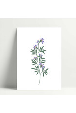 Poussière des rues Wenskaart - Grimpante - Postkaart + Envelop