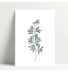 Poussière des rues Wenskaart - Grimpante - Postkaart + Envelop