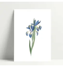 Poussière des rues Wenskaart - Iris - Postkaart + Envelop