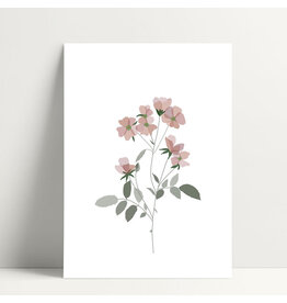 Poussière des rues Wenskaart - Liseron - Postkaart + Envelop