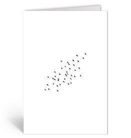 Deelneming Wenskaart - Zwerm vogels - Dubbele kaart + Envelop
