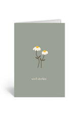 Deelneming Wenskaart - Margrietjes, Veel sterkte - Dubbele kaart + Envelop