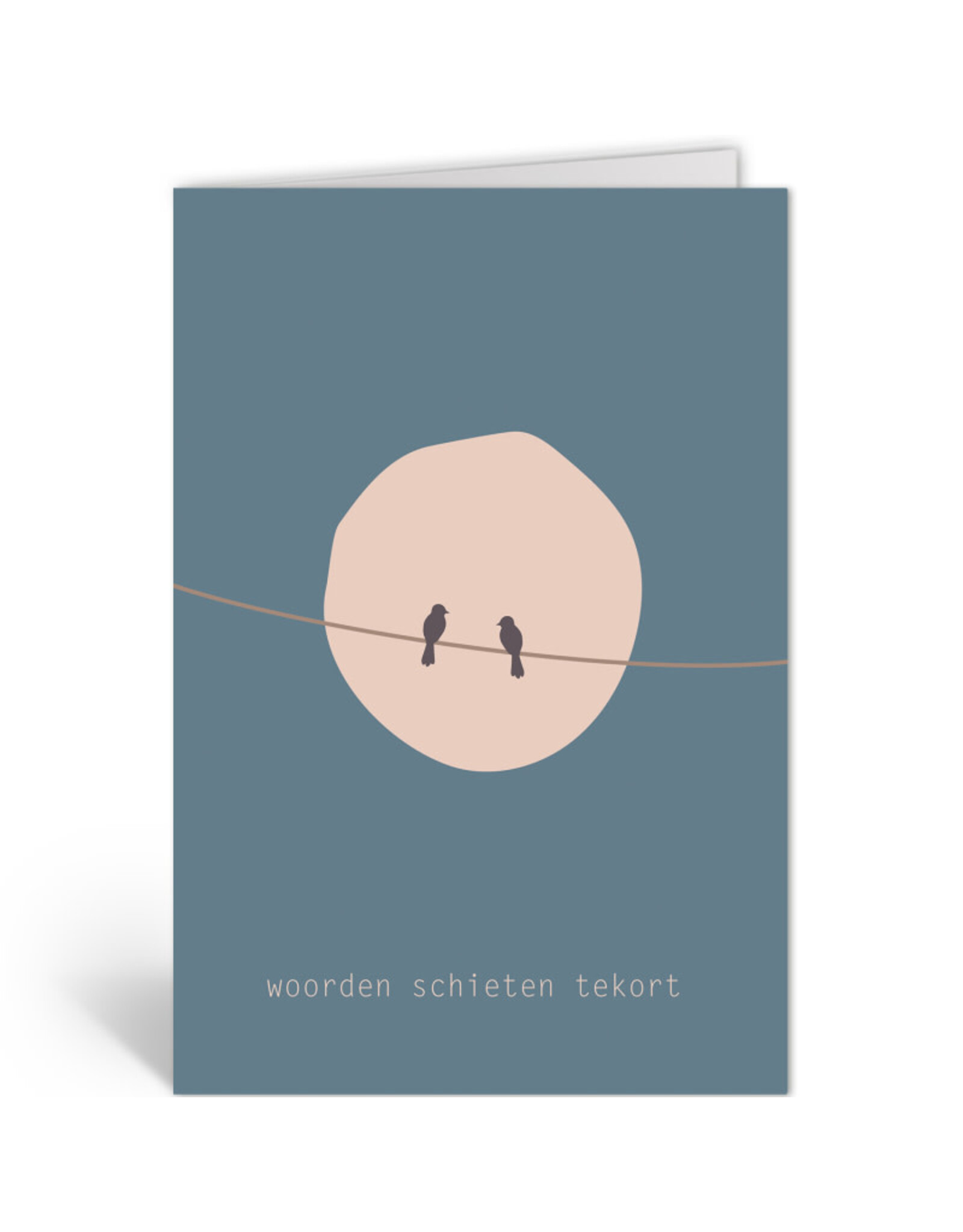 Deelneming Wenskaart - Vogels bij volle maan - Dubbele kaart + Envelop