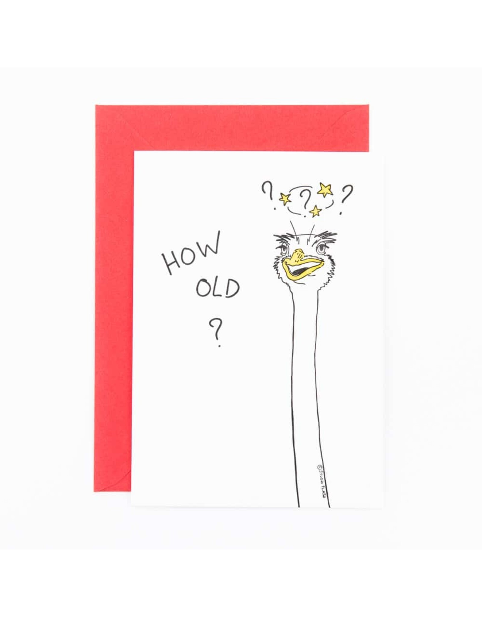 Studio Flash Wenskaart - Struisvogel, How old? - Letterpress kaart + Envelop