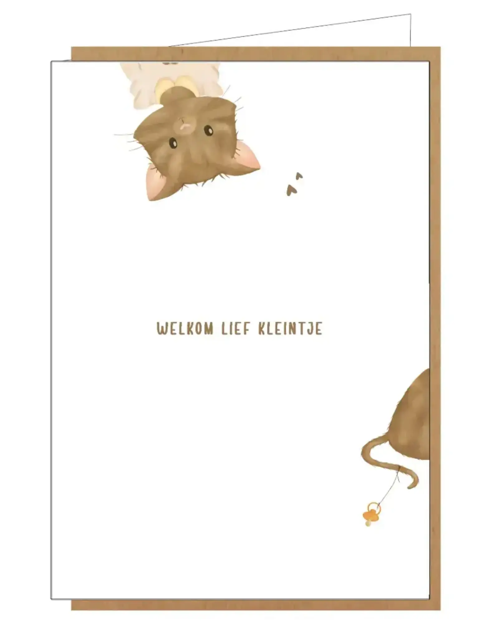 Studio Lin Wenskaart - Welkom lief kleintje - Dubbele kaart + Envelop