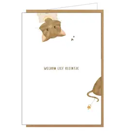 Studio Lin Wenskaart - Welkom lief kleintje - Dubbele kaart + Envelop