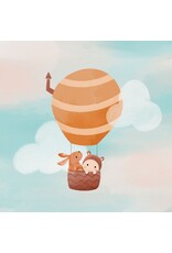Studio Noorderlicht Wenskaart - Luchtballon - Dubbele kaart + Envelop