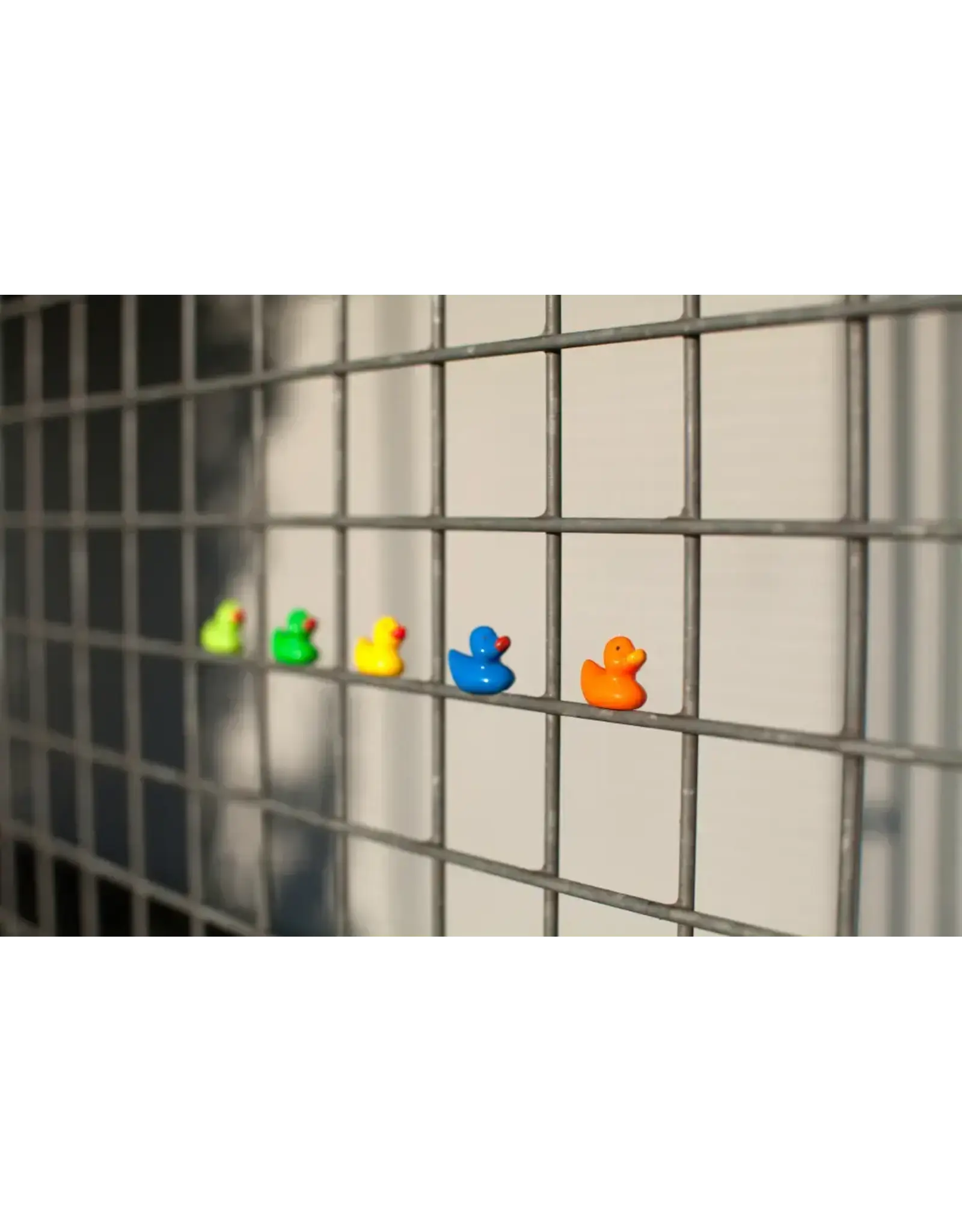 Interhal Retail Magneet Eendjes - 5st