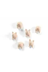 Interhal Retail Magneet Varken - 6st