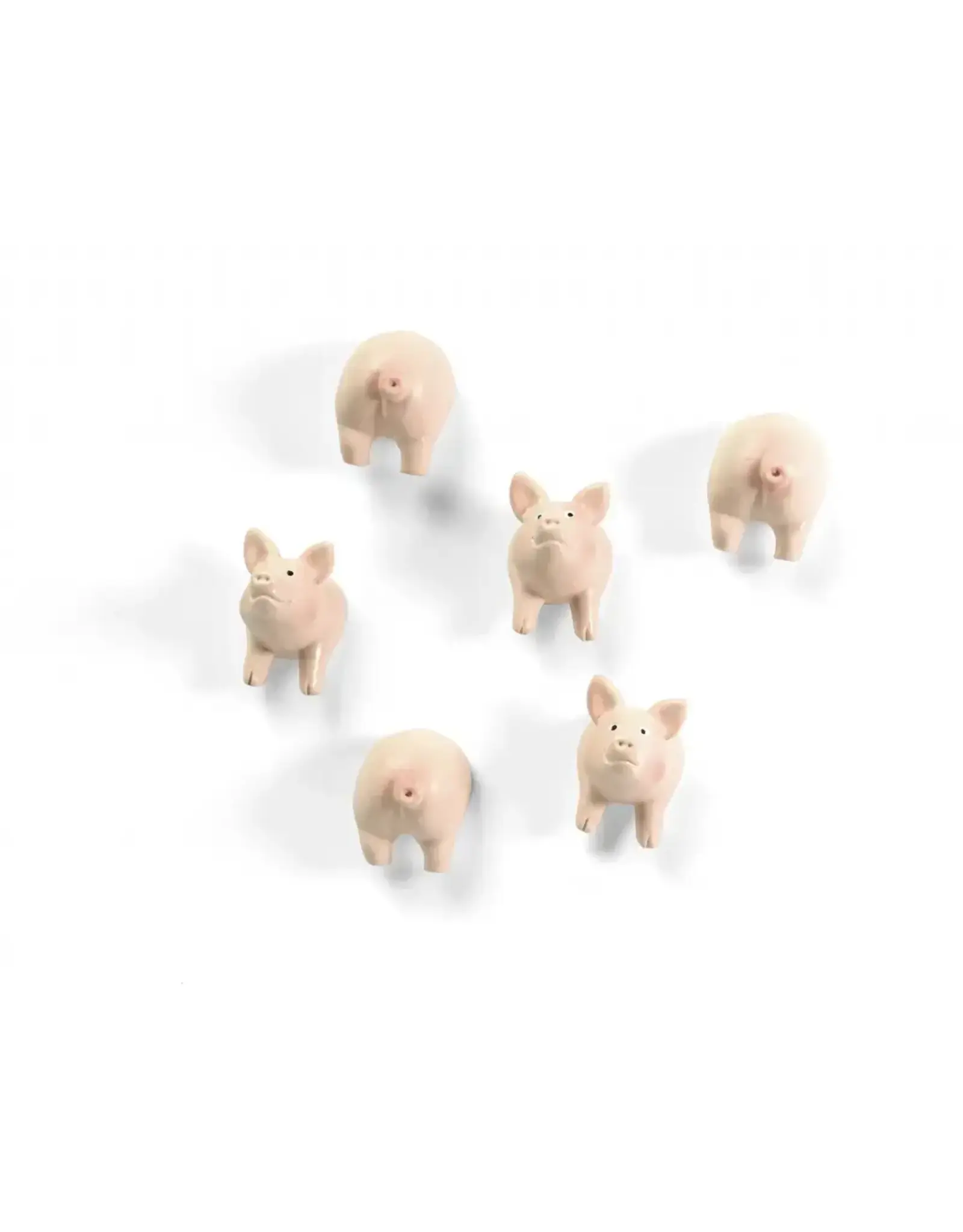 Interhal Retail Magneet Varken - 6st