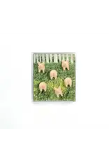 Interhal Retail Magneet Varken - 6st