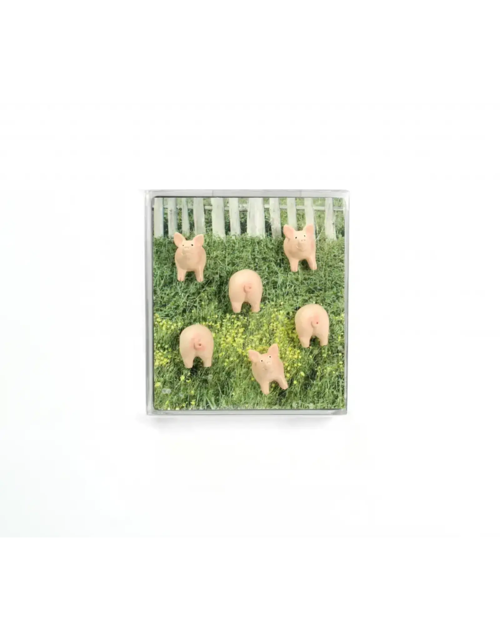 Interhal Retail Magneet Varken - 6st